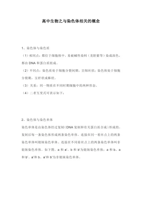 高中生物之与染色体相关的概念