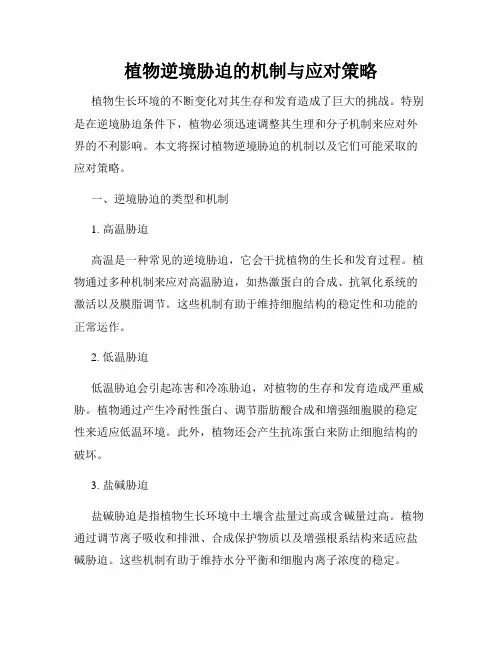植物逆境胁迫的机制与应对策略