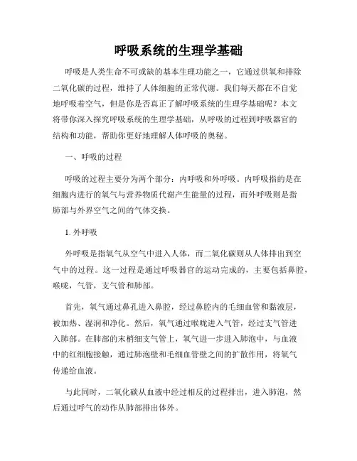 呼吸系统的生理学基础