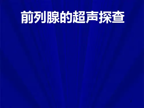 前列腺的超声探查PPT课件