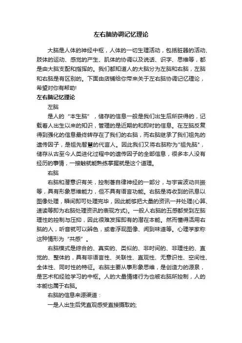 左右脑协调记忆理论