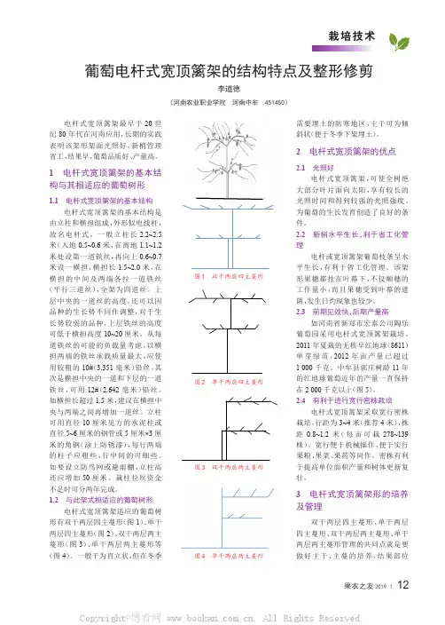 葡萄电杆式宽顶篱架的结构特点及整形修剪