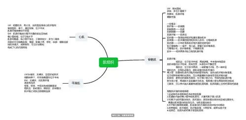 肌组织-组织学与胚胎学思维导图脑图