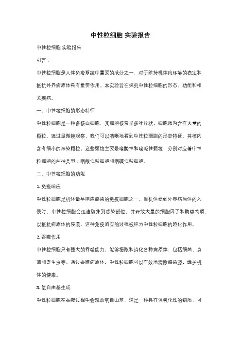 中性粒细胞 实验报告