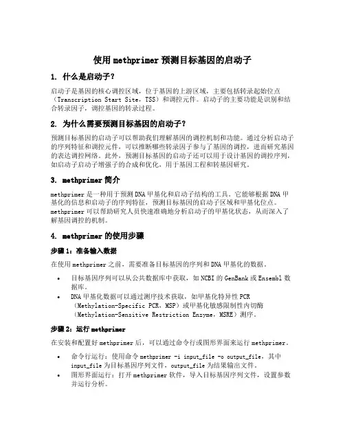 methprimer预测目标基因的启动子
