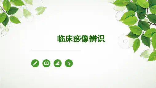 临床痧像辨识