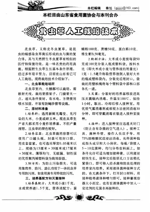 北虫草人工栽培技术
