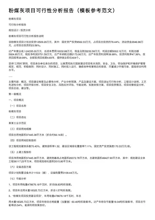 粉煤灰项目可行性分析报告（模板参考范文）