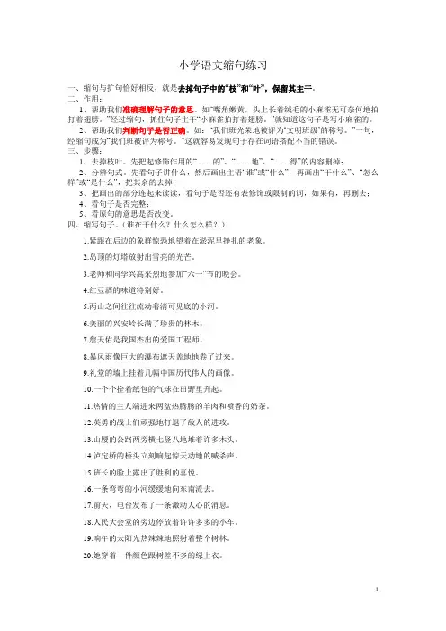 小学语文各种句式讲解与练习