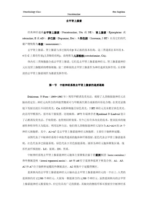 去甲肾上腺素经典神经递质去甲肾上腺素(Noradrenaline, NA 或NE