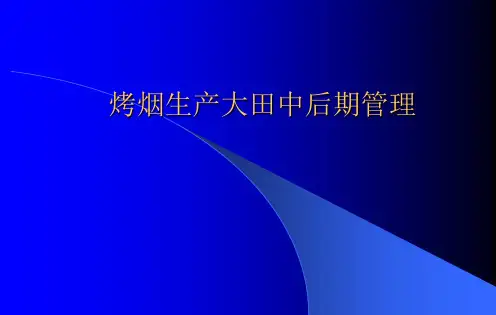 烤烟生产大田管理