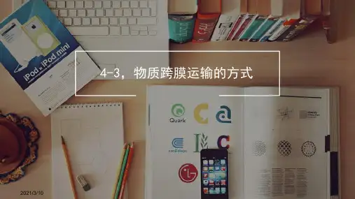 4-3-物质跨膜运输的方式PPT课件
