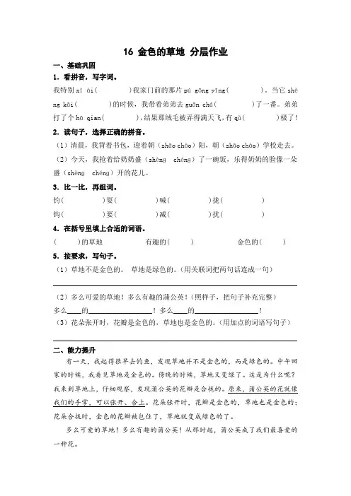 部编版三年级语文上册【分层作业】16金色的草地(课时练)(含答案)