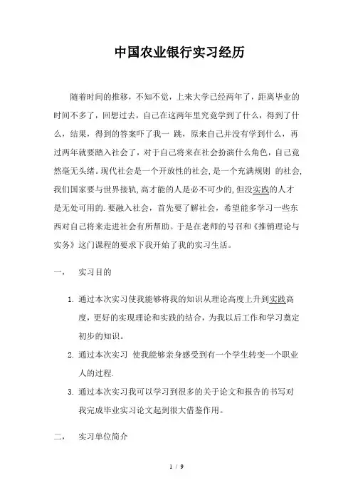 中国农业银行实习经历