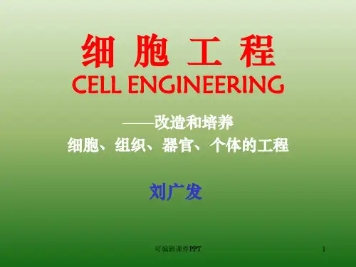 细胞工程精ppt课件