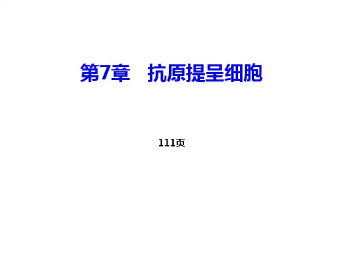 8DC及其他抗原提呈细胞、抗原提呈7、10章