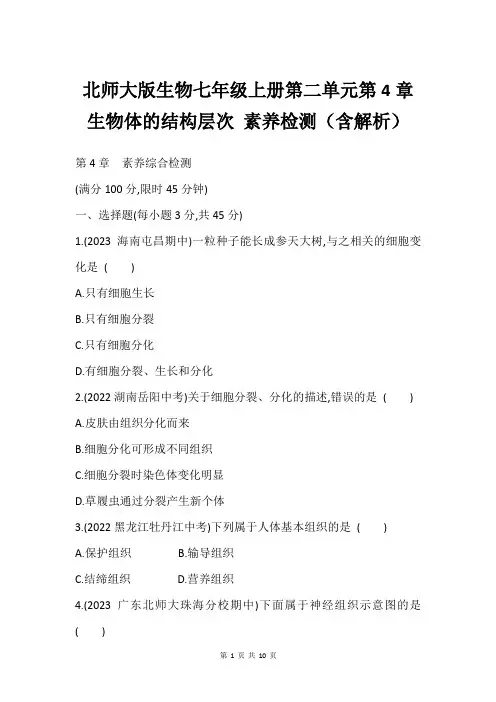 北师大版生物七年级上册第二单元第4章 生物体的结构层次 素养检测(含解析)
