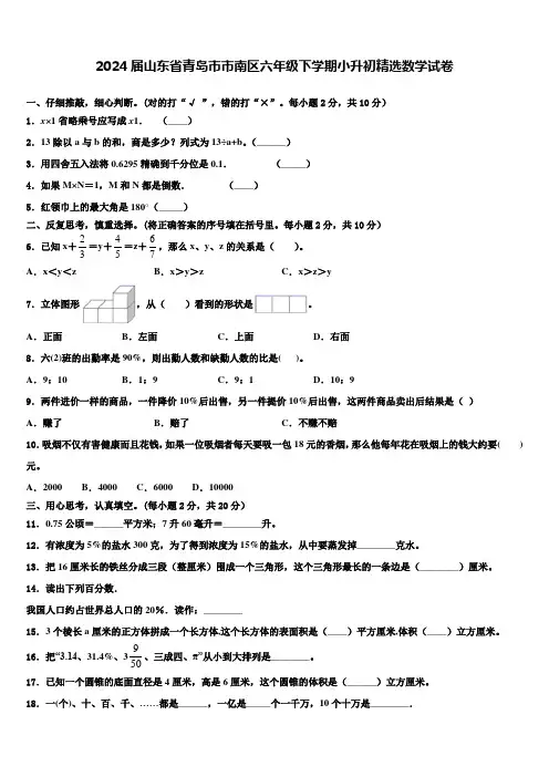 2024届山东省青岛市市南区六年级下学期小升初数学试卷含解析