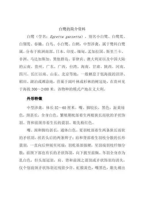 白鹭的简介资料