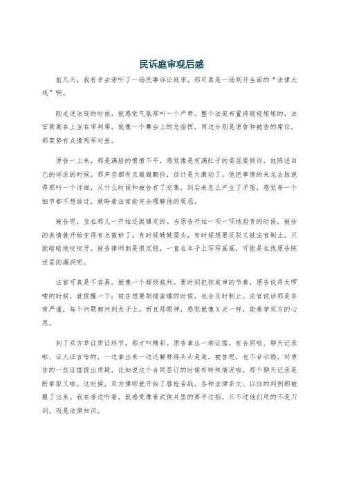 民诉庭审观后感