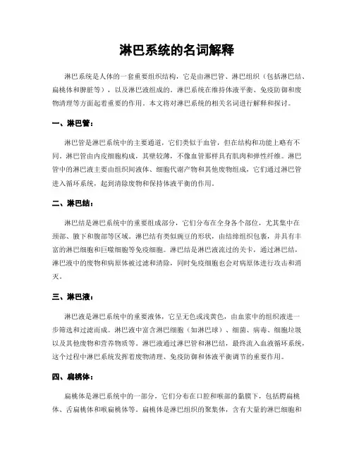 淋巴系统的名词解释