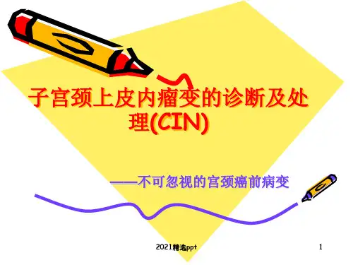 子宫颈上皮内瘤变讲课用ppt课件
