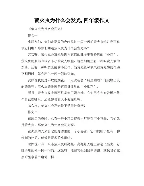 萤火虫为什么会发光,四年级作文