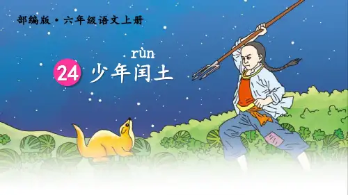 《少年闰土》PPT精品课件