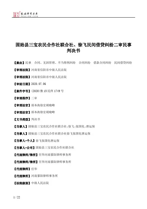 固始县三宝农民合作社联合社、徐飞民间借贷纠纷二审民事判决书