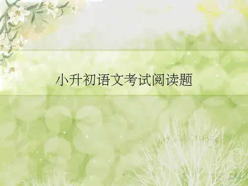 小升初语文考试阅读辅导(优秀精)PPT课件