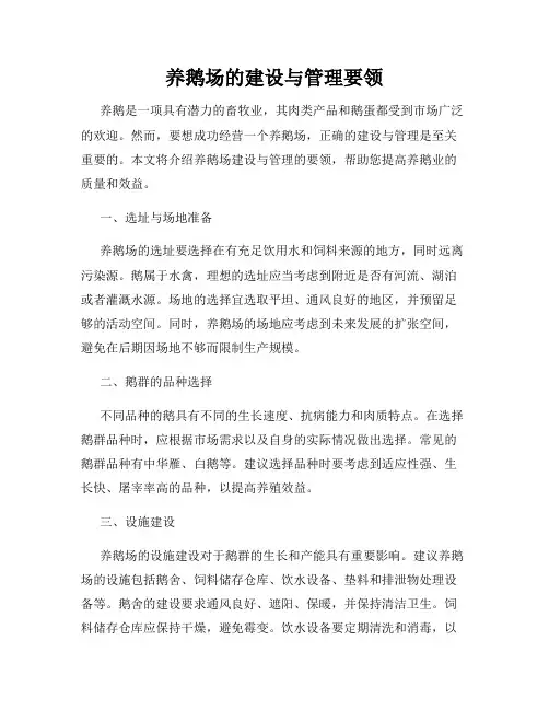 养鹅场的建设与管理要领