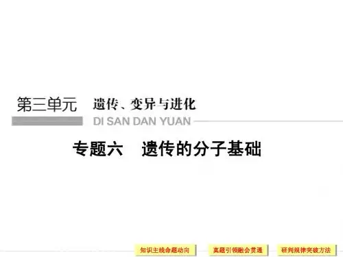 高考生物(江西专用)二轮专题复习配套课件第一篇专题六遗传的分子基础