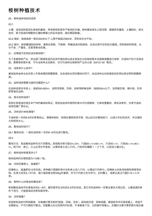 桉树种植技术