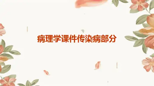 病理学课件传染病部分-2024鲜版