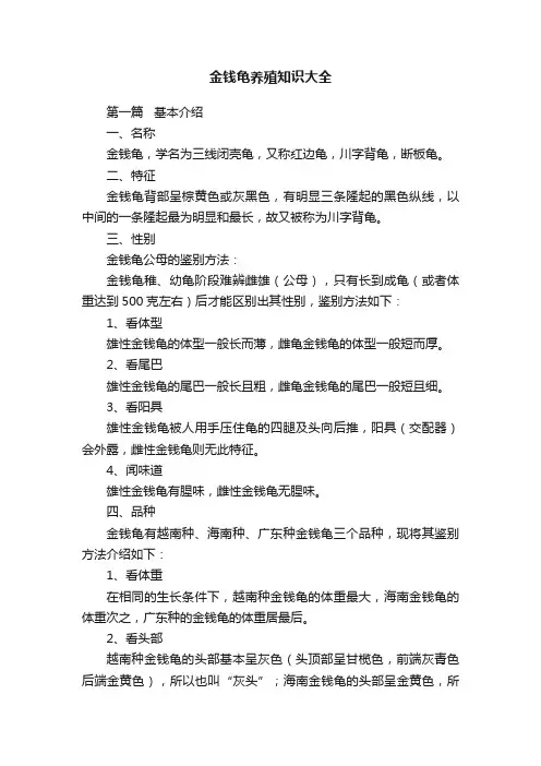 金钱龟养殖知识大全