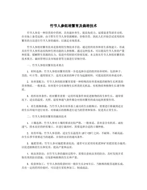 竹节人参组培繁育及栽培技术