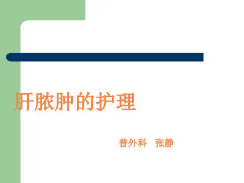 肝脓肿的护理PPT课件