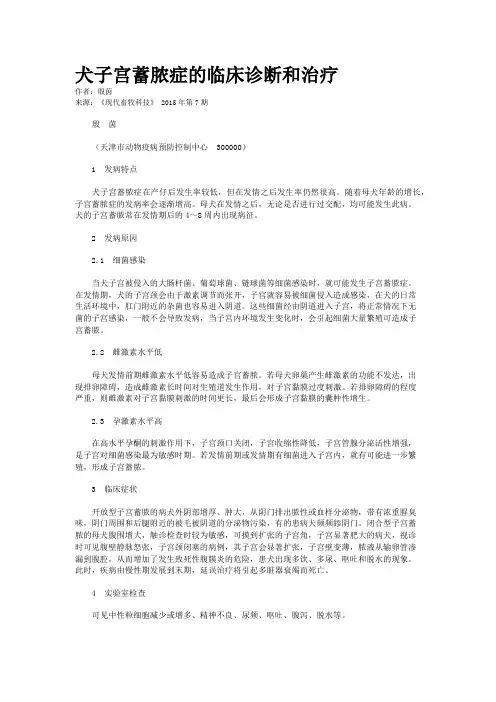 犬子宫蓄脓症的临床诊断和治疗