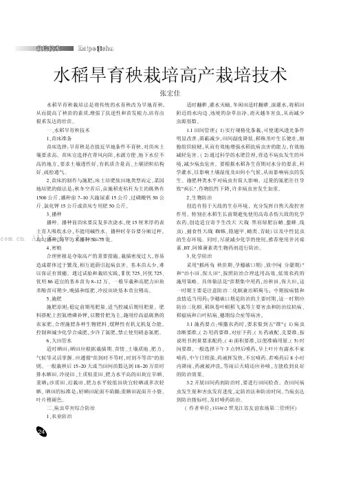 水稻旱育秧栽培高产栽培技术
