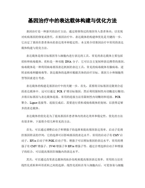 基因治疗中的表达载体构建与优化方法