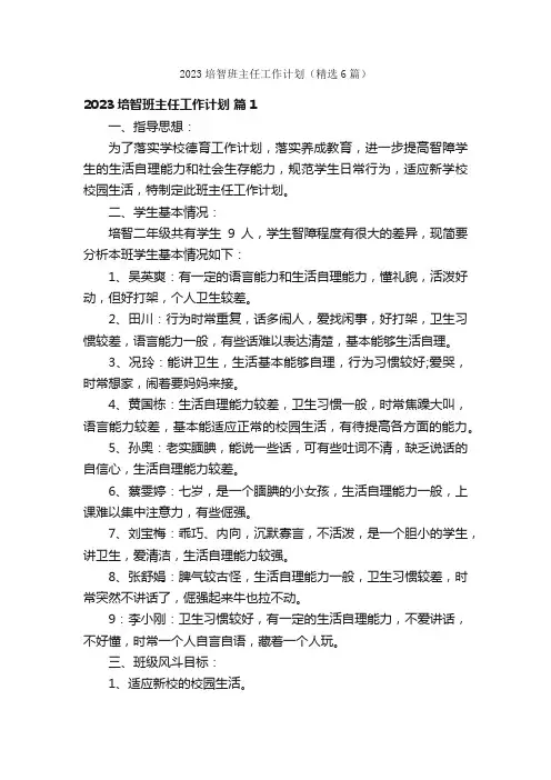 2023培智班主任工作计划（精选6篇）