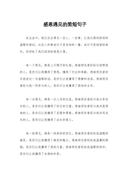 感恩遇见的简短句子