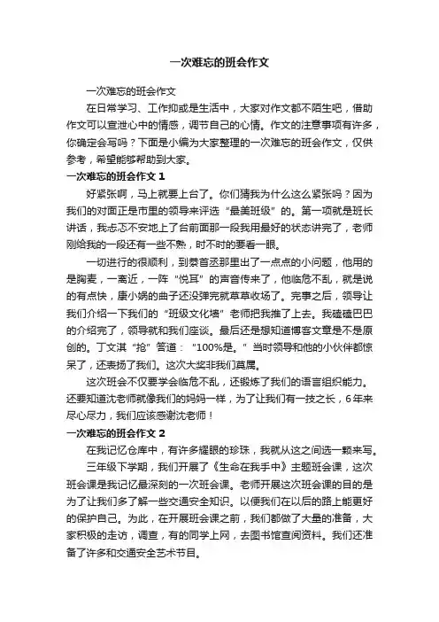 一次难忘的班会作文