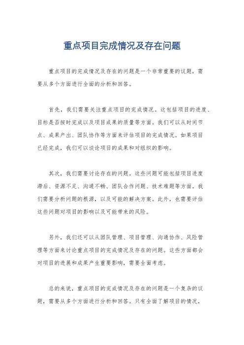 重点项目完成情况及存在问题
