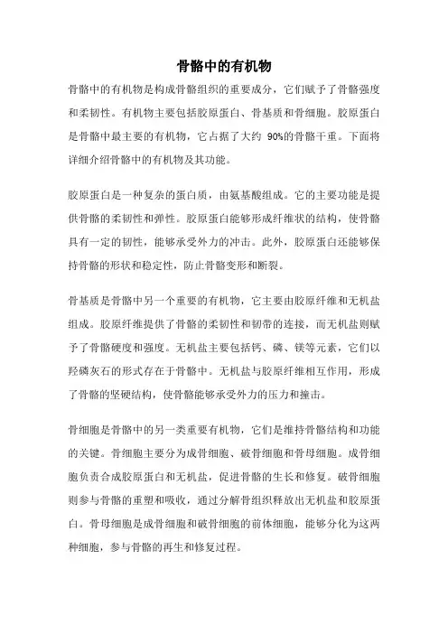 骨骼中的有机物