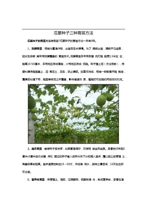 瓜蒌种子三种育苗方法