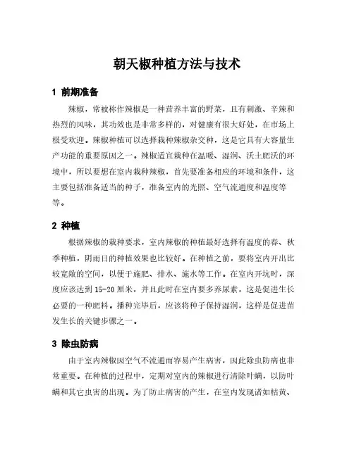 朝天椒种植方法与技术