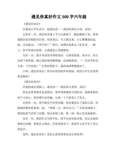 遇见你真好作文500字六年级