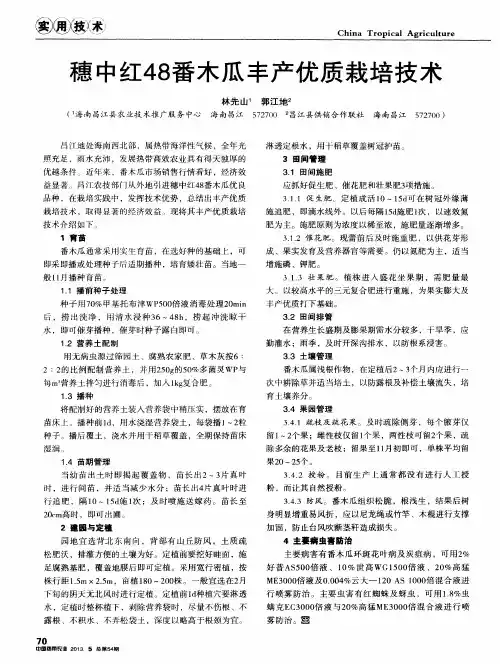 穗中红48番木瓜丰产优质栽培技术