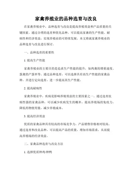 家禽养殖业的品种选育与改良